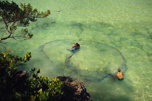 the island pongwe lodge adults only