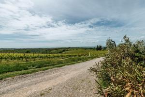 castelnuovo berardenga