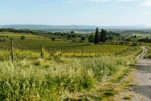 castelnuovo berardenga