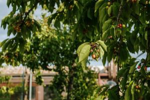 castelnuovo berardenga