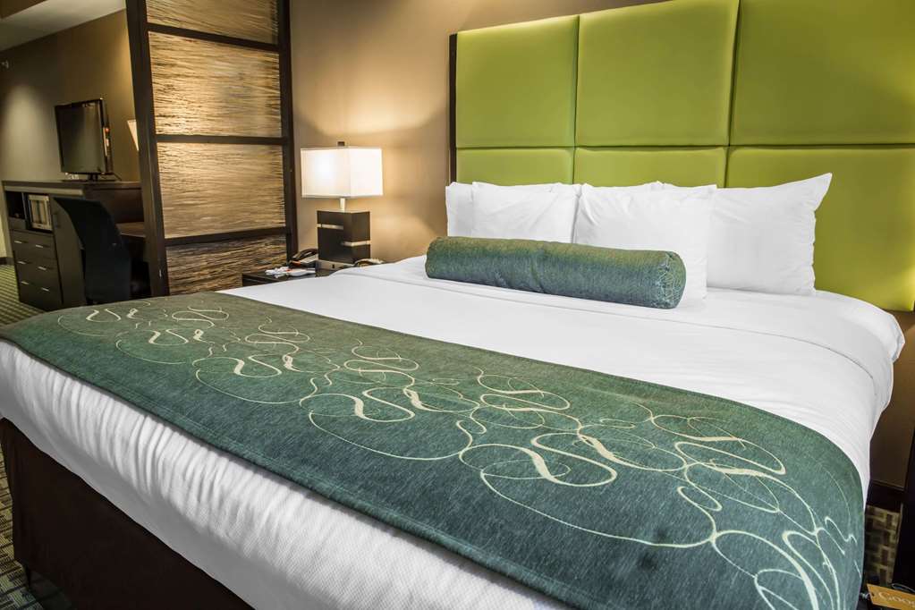 comfort suites new bern near cherry point