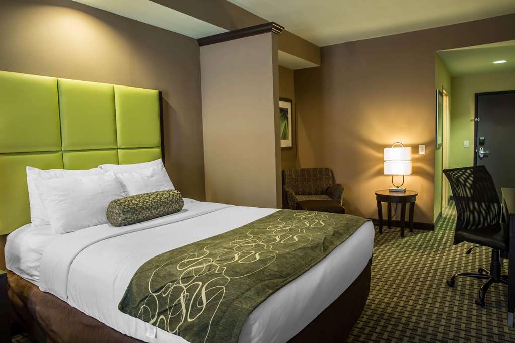 comfort suites new bern near cherry point