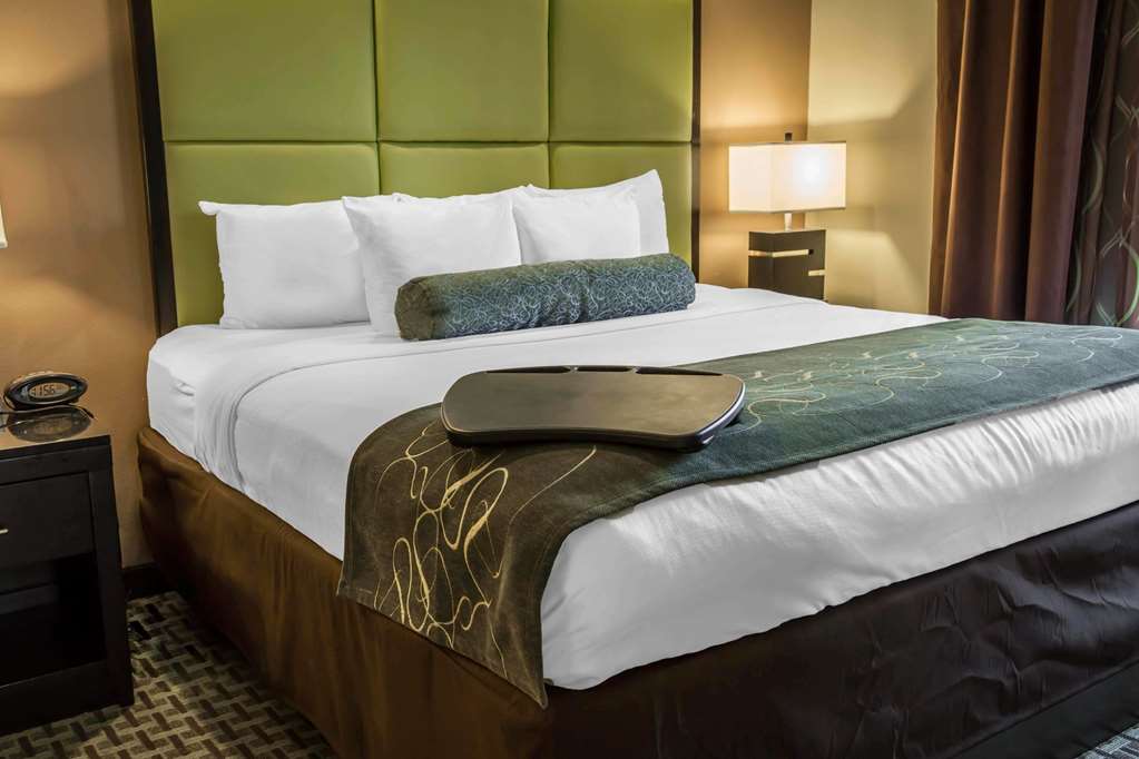 comfort suites new bern near cherry point