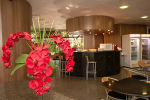 royal center hotel lourdes