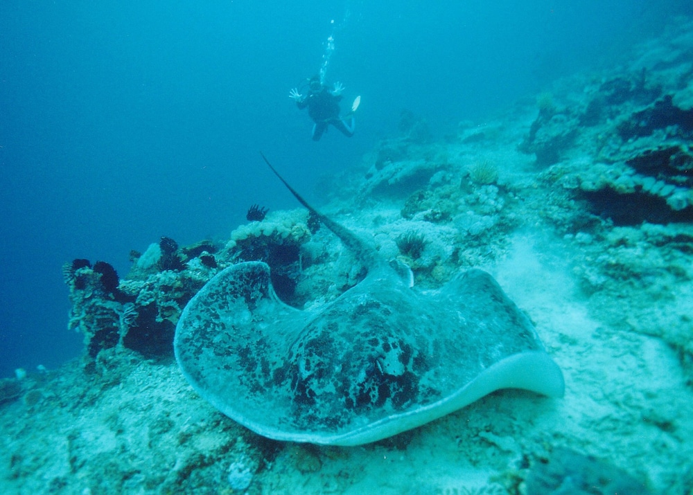 lembongan island