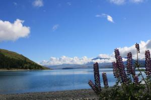 lakes edge lodge