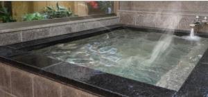 hotel new gaea iizuka