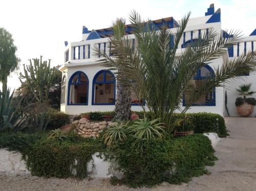 sidi kaouki