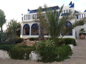 sidi kaouki