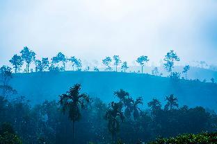 nest n mist