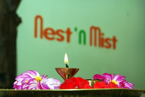 nest n mist