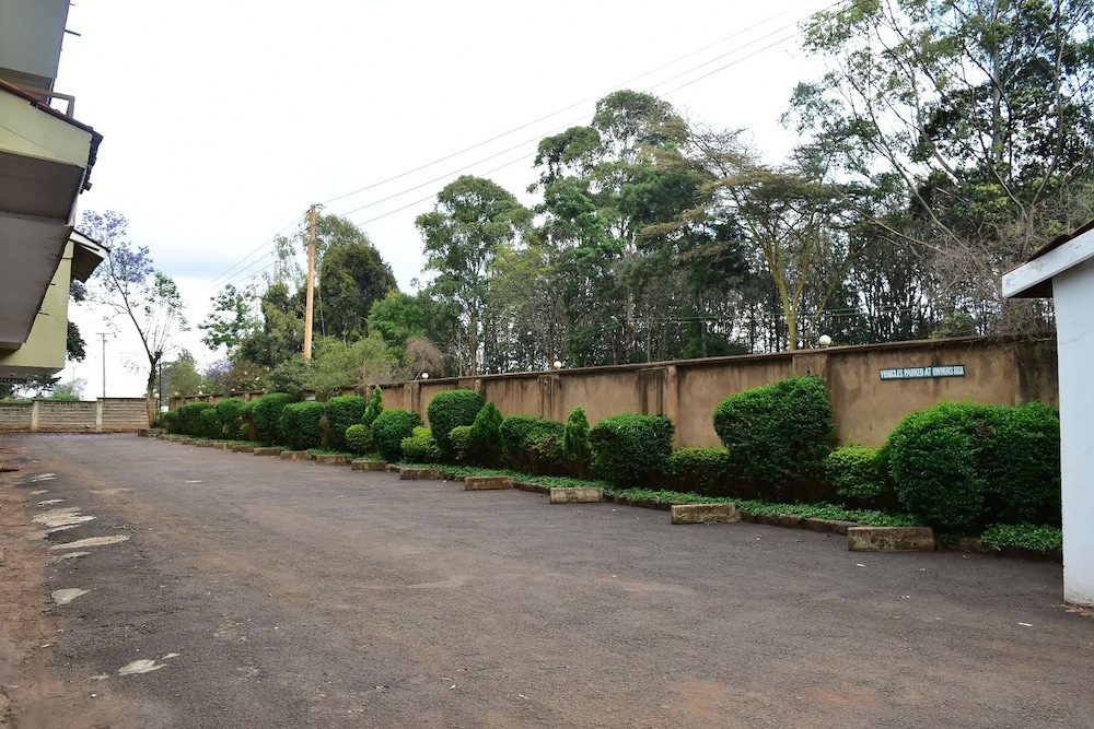 nyeri