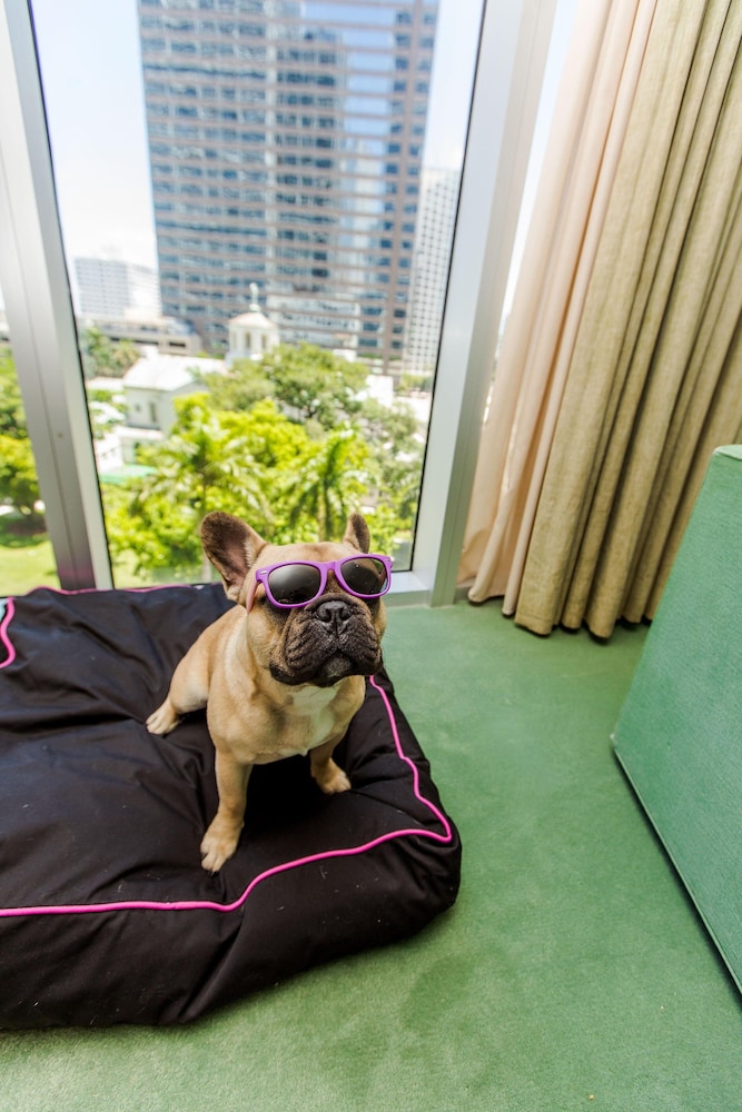 w miami