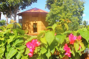 al hamra jungle resort adults only