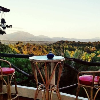 al hamra jungle resort adults only