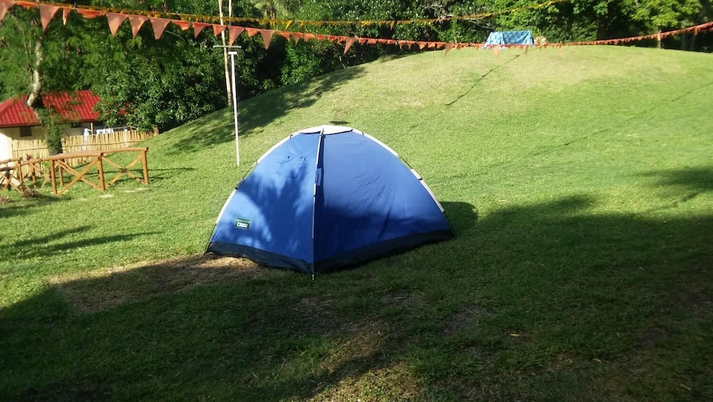 al hamra jungle resort adults only