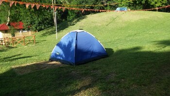 al hamra jungle resort adults only