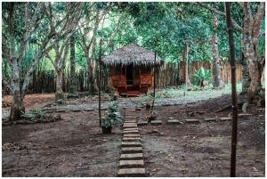 al hamra jungle resort adults only