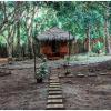 Al Hamra Jungle Resort - Adults Only,In Puerto Princesa,2 star