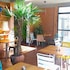 le chato park hotel ivato airport navette gratuite h24