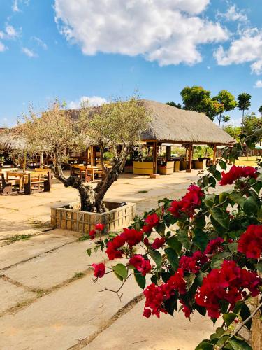 le chato park hotel ivato airport navette gratuite h24