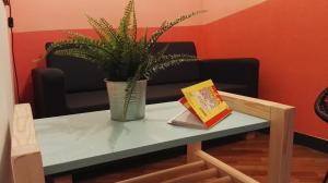 ostellin genova hostel