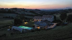 il gallo senone
