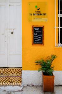 santa marta