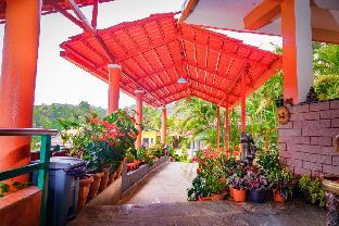 deva maani coorg nature view