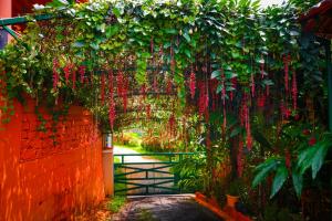 coorg