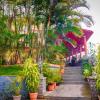 coorg