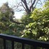 dambulla