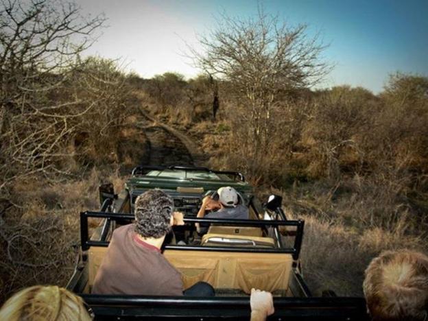 madikwe safari lodge