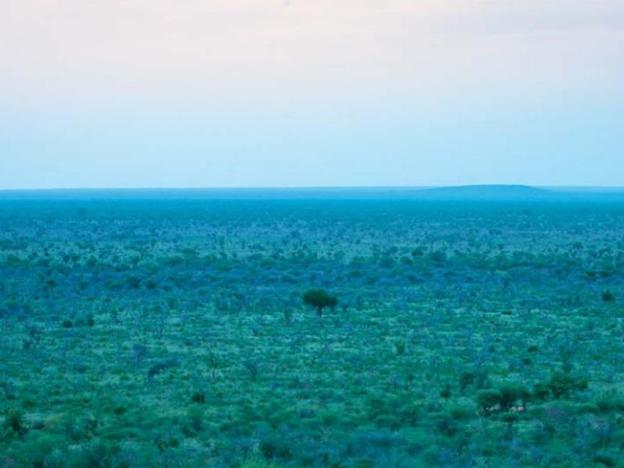 madikwe safari lodge