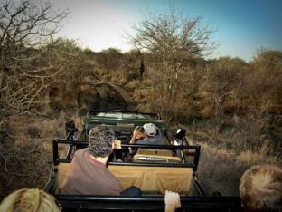 madikwe safari lodge