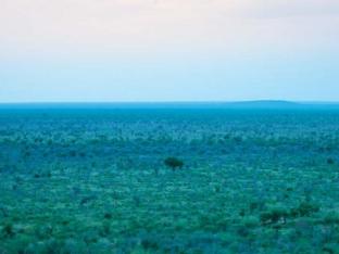 madikwe safari lodge