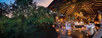 madikwe safari lodge
