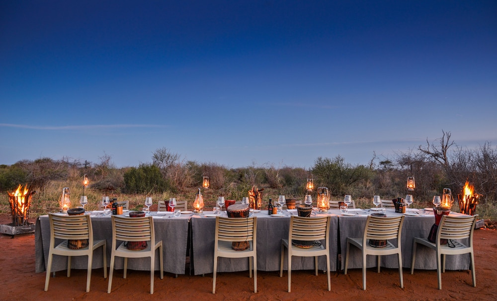madikwe safari lodge