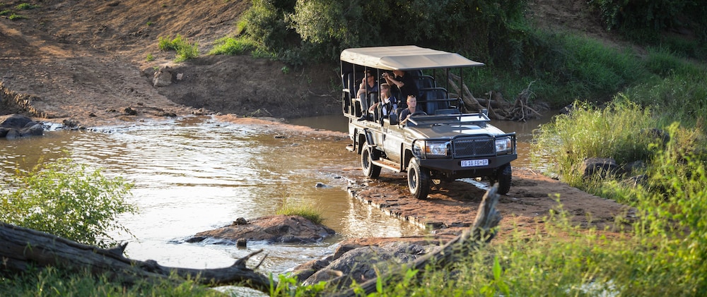 madikwe safari lodge