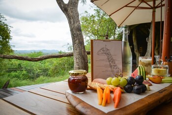 madikwe safari lodge