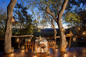 madikwe safari lodge