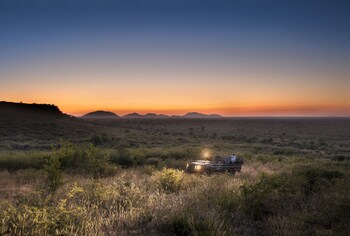 madikwe safari lodge