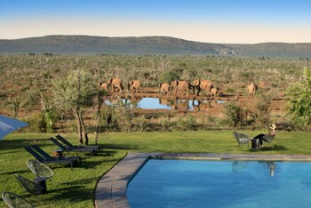 madikwe safari lodge
