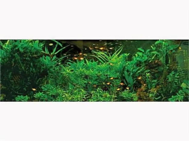 business hotel shinten