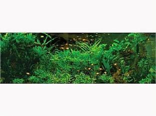 business hotel shinten