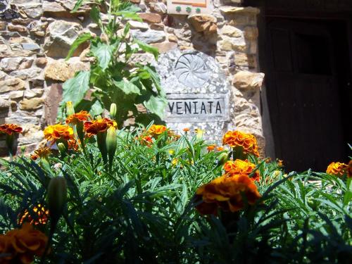 veniata