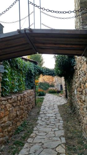 veniata