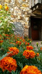 veniata