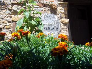veniata