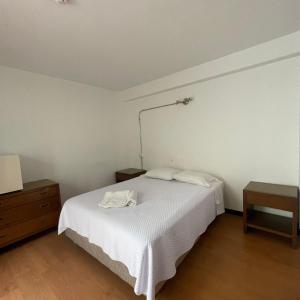 hotel el plaza centro de lima